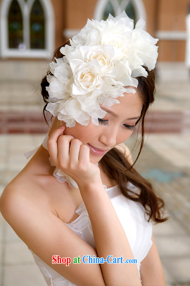 Diane M Qi 2014 new wedding dresses with Korean-style and spend + must also take - bridal hair accessories bridal and take pictures, price, brand platters! Elections are good character, the national distribution, so why buy now enjoy more preferential! Health