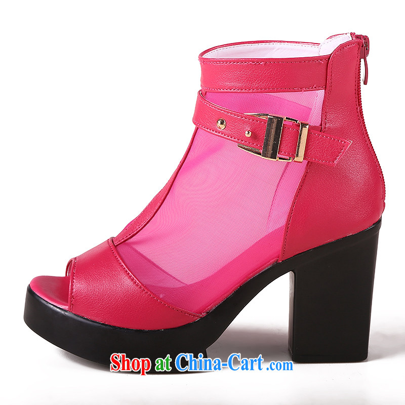 Lisa Donald Rumsfeld's autumn 2014 new women's shoes, high boots in bold high-heel click Web shoes women shoes and marriage, and shoes 7890 F of red 40, 8 cm high, so Pang, shopping on the Internet