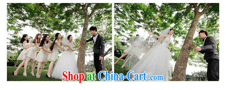 The bride's wedding dresses new 2015 Korean Princess sweet-also with shaggy spring wedding 867 L pictures, price, brand platters! Elections are good character, the national distribution, so why buy now enjoy more preferential! Health