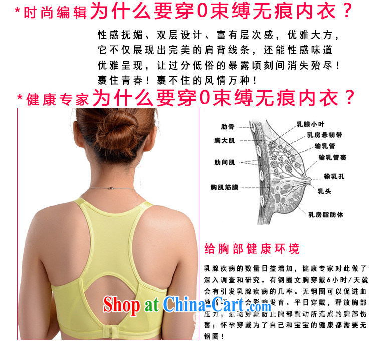 The Dream yoga bra ultra-pinching a steel ring movement, chest vest underwear JB 127 - 1 01,188 black 85 B pictures, price, brand platters! Elections are good character, the national distribution, so why buy now enjoy more preferential! Health