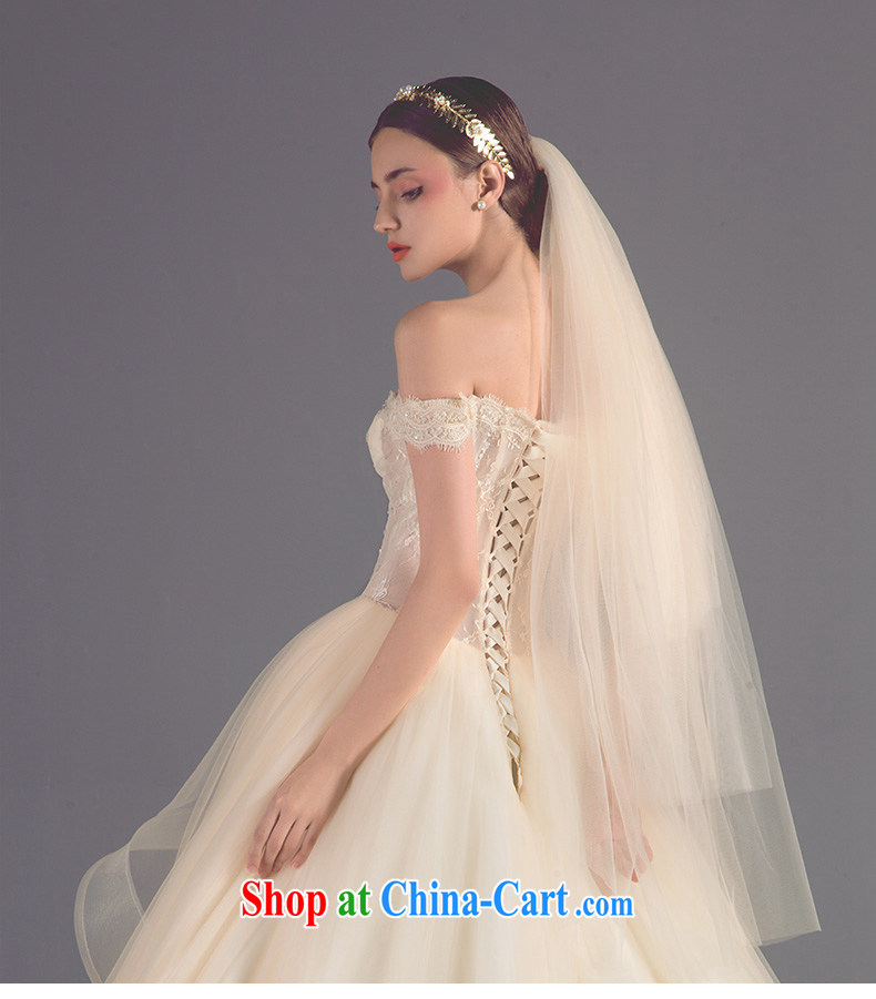 Code Hang Seng bridal new 2015 Korean version of the greater tail fluoroscopy wiped his chest wedding tied with a shoulder larger wedding girls high-end custom, marriage private dress champagne color XL pictures, price, brand platters! Elections are good character, the national distribution, so why buy now enjoy more preferential! Health