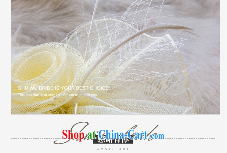 Water dance bride euro-retro name Yuan Web yarn hats and feather caps B 0758 yarn bag pictures, price, brand platters! Elections are good character, the national distribution, so why buy now enjoy more preferential! Health